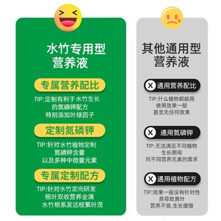 水竹肥料专用肥营养液家用盆栽富贵竹转运竹水培植物治黄叶水溶肥
