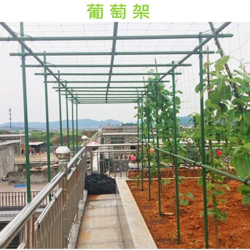 爬藤包塑钢管配件钢丝扣支架支柱连接扣弹簧扣家庭种植搭棚架支柱
