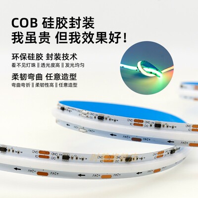 24v智能APP声控cob幻彩2811灯带RGB七彩跑马流水追光氛围KTV灯带