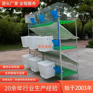 兔子笼自动清粪防喷尿兔笼家用养殖场专用专业特大号超大兔子笼子
