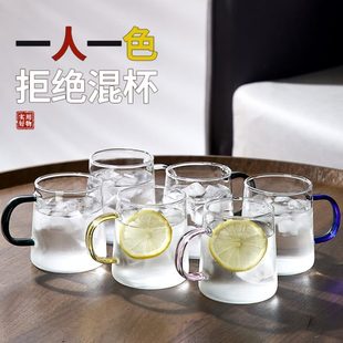 牛奶杯 泡茶杯客厅喝水杯家用玻璃杯简约高档家庭带把耐热杯子套装