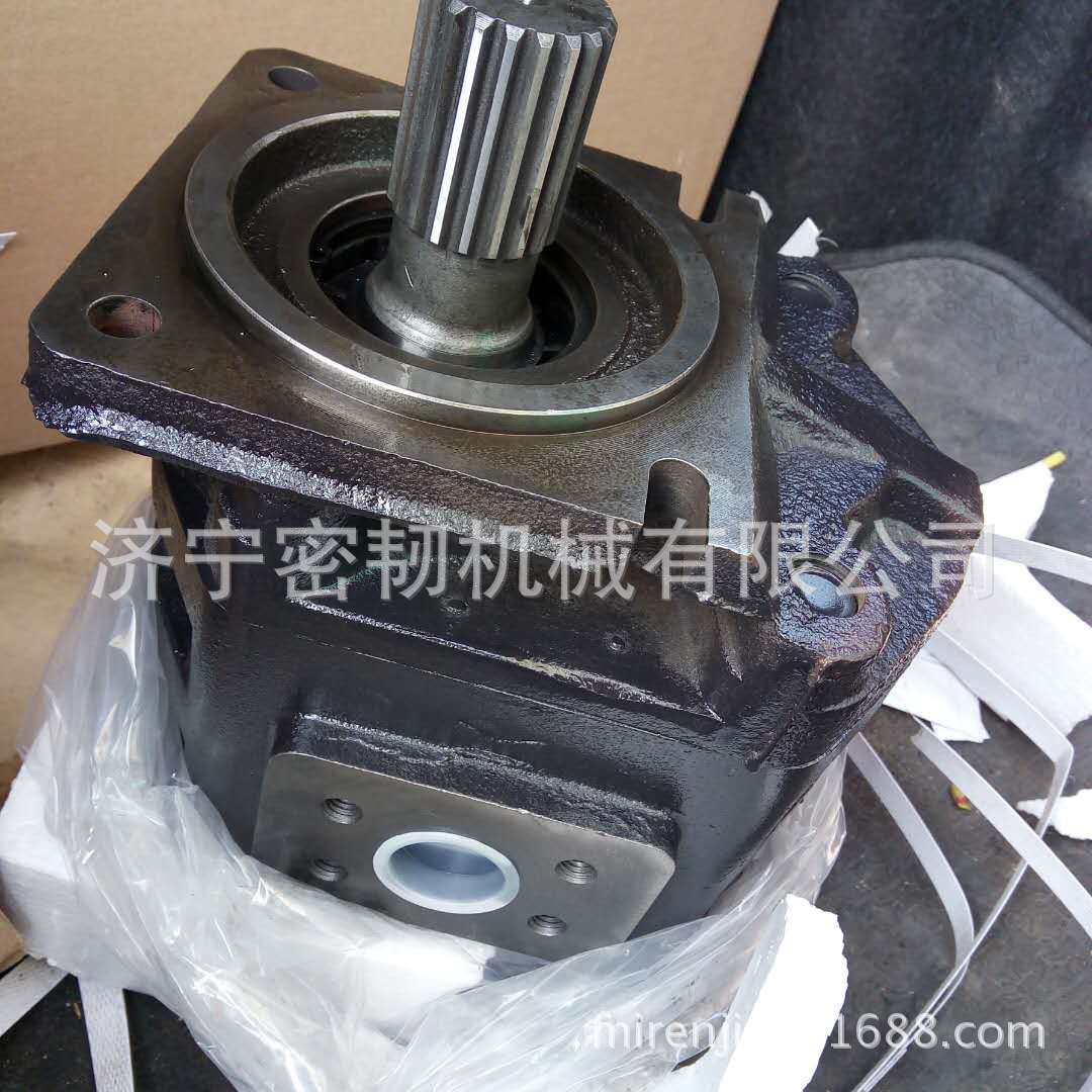 装载机齿轮双联三连泵图片