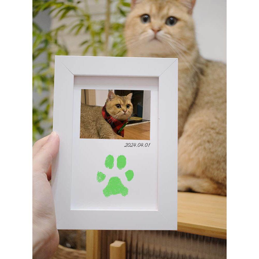 定制图片宠物手工diy免洗印泥猫咪狗狗脚手足印宝宝周岁纪念相框