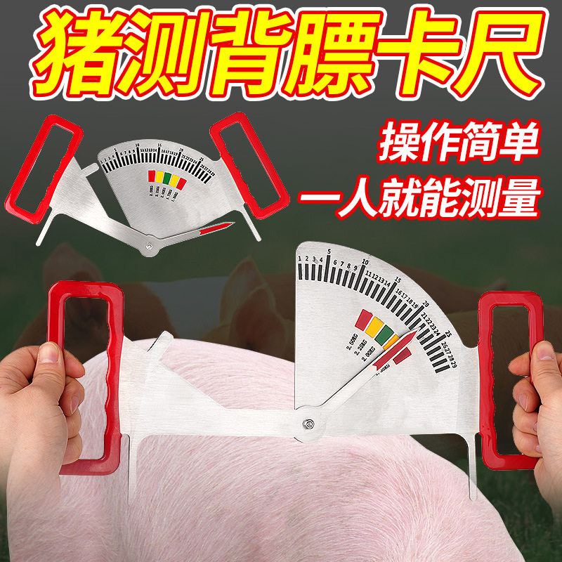 猪用背膘卡尺猪膘情测定指导器饲喂不锈钢卡尺膘情妊娠母猪背膘尺