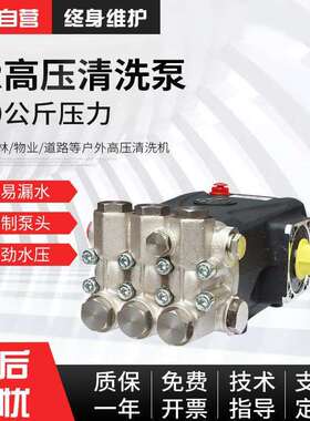 GATLING250公斤高压柱塞泵高压清洗机用设备清洁泵工业级耐用