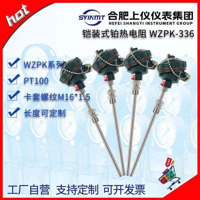 铠装热电阻WZPK-336pt100A级Φ6*450mm0~500℃M16*1.5上仪仪表
