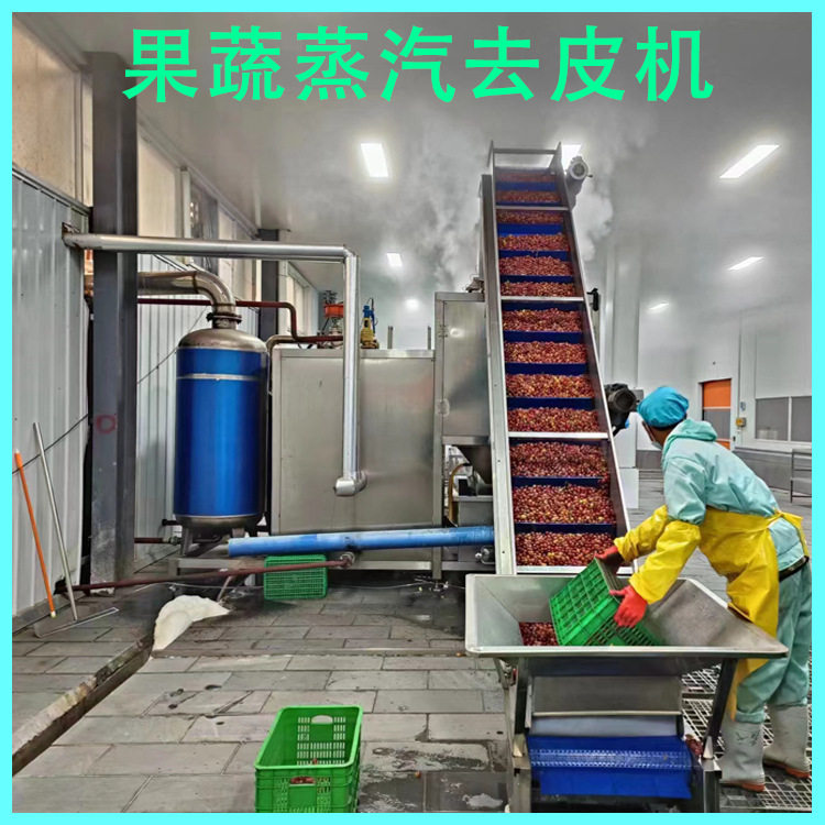 隆坤全自动番茄蒸汽去皮机 西红柿高温烫皮机 洋柿子物理爆皮机