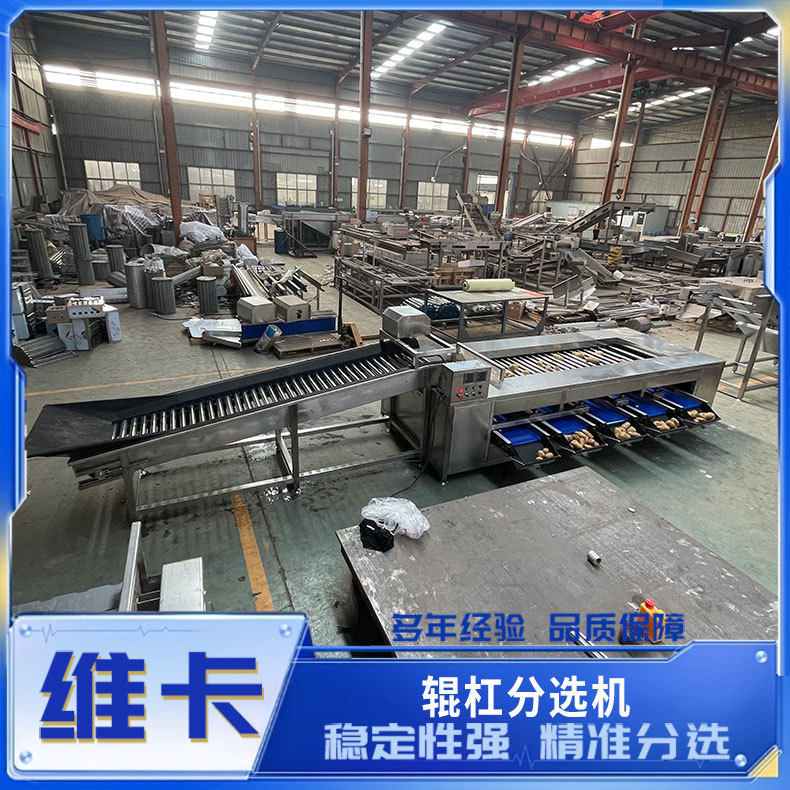 西红柿土豆直径选果机 滚杠分选机 一机多用 金枣柠檬分级机