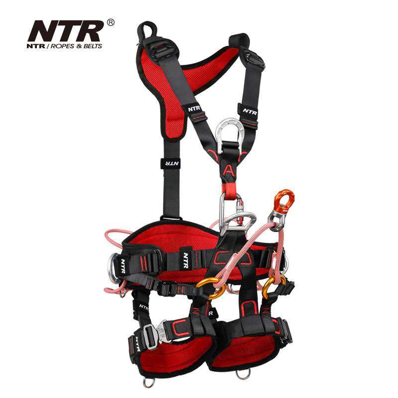 BK43 树艺师 NTR耐特尔攀树园林工作定位及悬吊全身五点式安全带