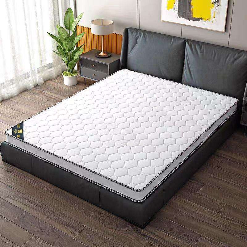 床垫天然椰棕床垫棕榈3e环保经济型儿童席梦思环保折叠家用榻榻米