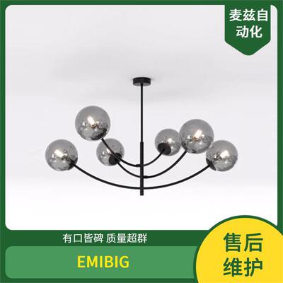 1212/21146/2天花板和灯具EMIBIGLighting智能照明