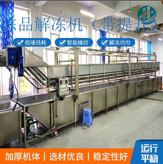 鲅鱼自动解冻流水线 解冻快速肉类快速解冻机 冻品解冻机带提升