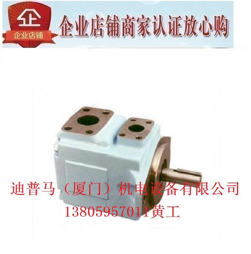 DENISON丹尼逊叶片泵T6E-072-1R01-C1 1R00 1R02 1R03 T6E-085