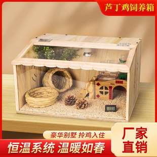 维谦雏鸡鹌鹑小鸡鸟保温饲养爬宠箱鸡鸭鹅鹌鹑芦丁育雏保温箱