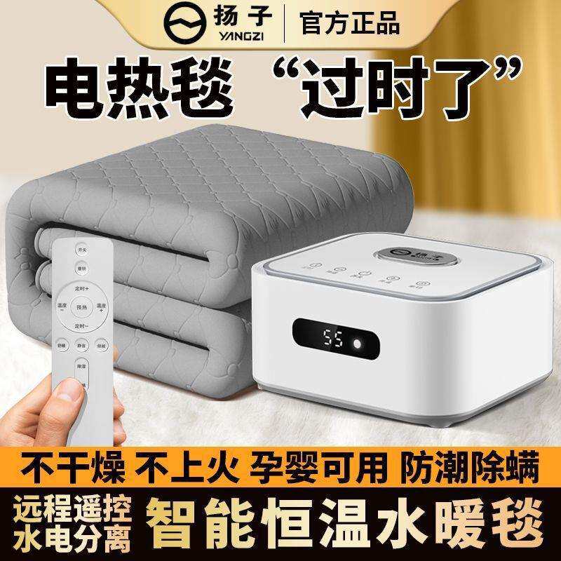 水暖电热毯单双人水暖毯2025新款电褥子智能家用水循环水热毯