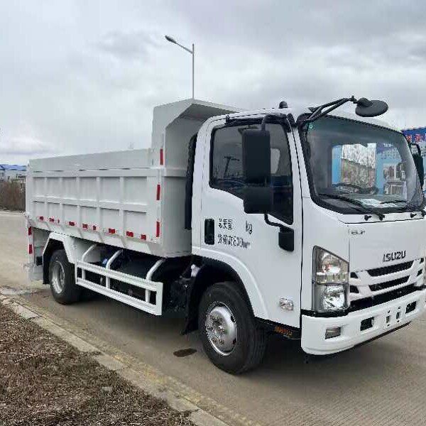 出口五十铃12吨翻斗车ISUZU4*2自卸车五十铃巨咖工程车重型卡车