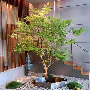 仿真青枫树鸡爪槭绿植大型景观造景室内商场橱窗软装假树装饰摆件