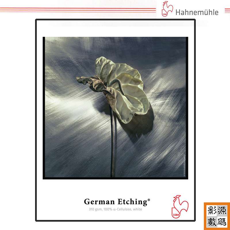 Hahnemuehle哈内姆勒310克德国蚀版艺术纸German Etching 310gsm
