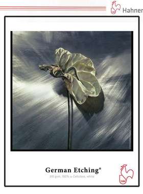 Hahnemuehle哈内姆勒310克德国蚀版艺术纸German Etching 310gsm