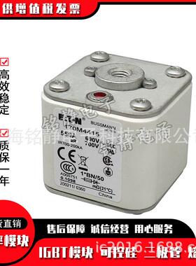 170M4558170M4559170M4560170M4561巴斯曼170M4562熔断器现货