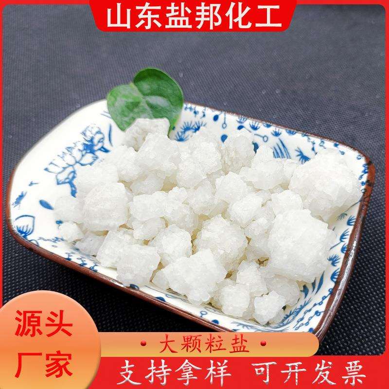 大颗粒盐海盐工业盐日晒盐锅炉软化水处理热敷工业盐