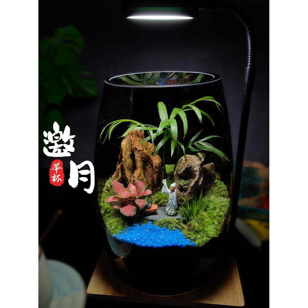 云海间苔藓微景观办公室桌面绿植组合盆景好养活高端生态瓶缸摆件