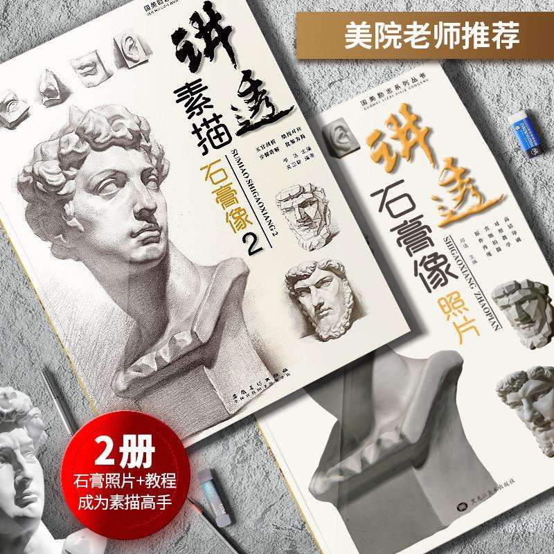 讲透素描石膏像2讲透石膏像照片组合装人物头像五官结构对画临摹