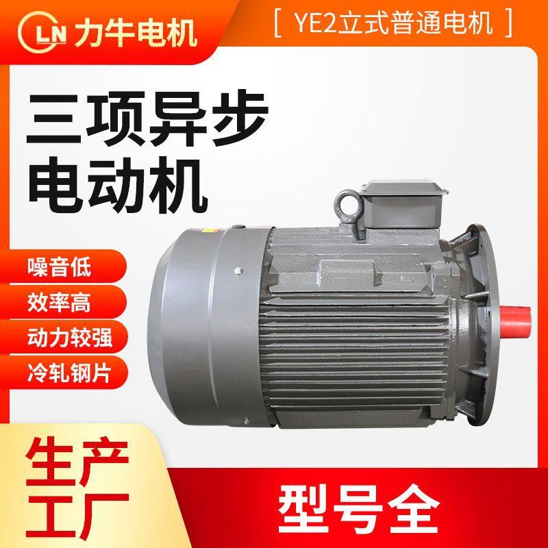 厂家供应三相异步电动机YE2-180M-2-22高精度纯铜线冷轧钢片电机
