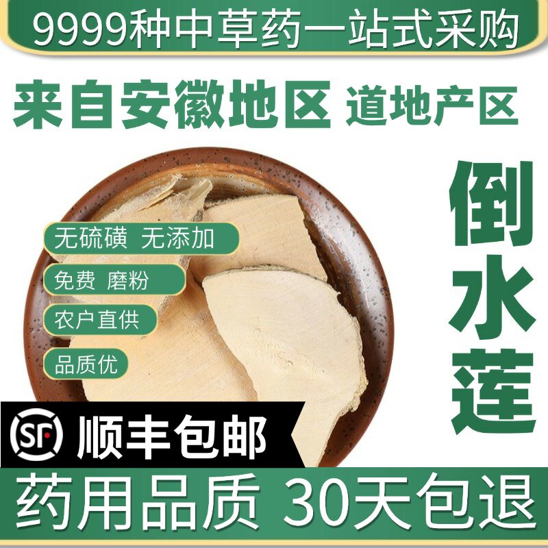 材特级野生黄花倒水莲 倒吊黄根 黄花大远志观音串50克