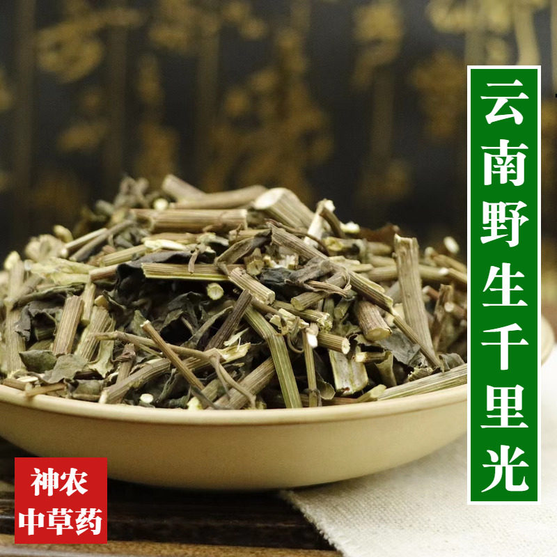 云南野生材千里光500g精选一级天然无硫中草药九里光干净无杂