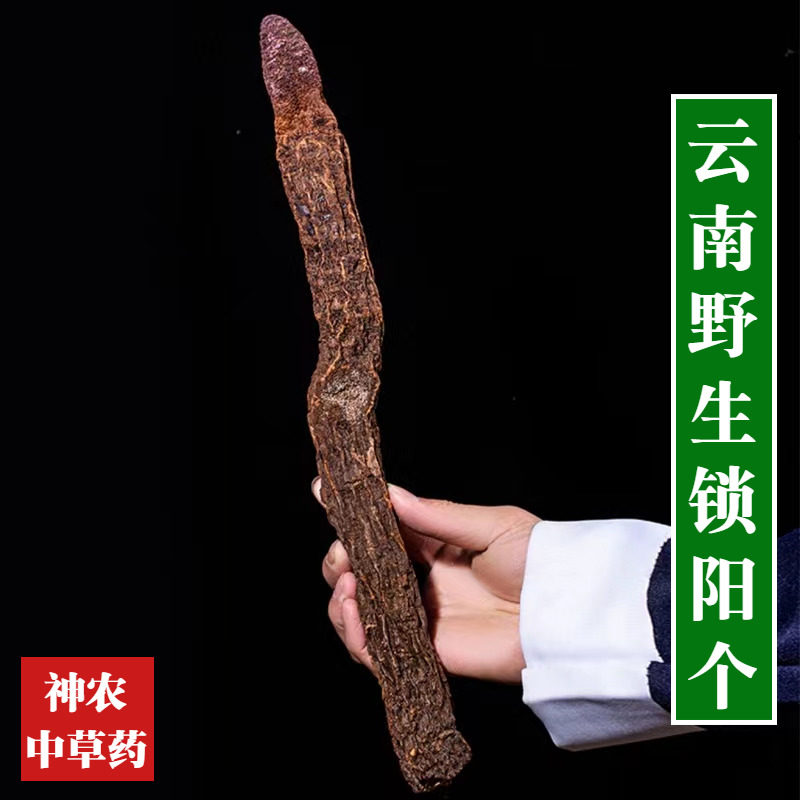 云南野生材锁阳个500g纯天然男性滋补泡酒原料另售肉苁蓉玛咖