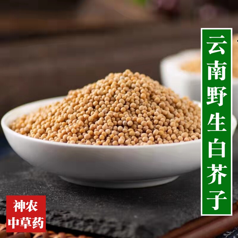 云南野生材白芥子500g辣菜子精选特级天然无硫芥菜子白芥籽茶