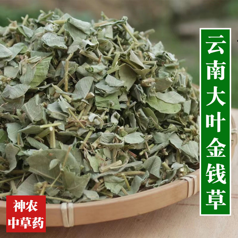 云南野生材大叶金钱草中草药广金钱草特级过路黄纯天然无添加