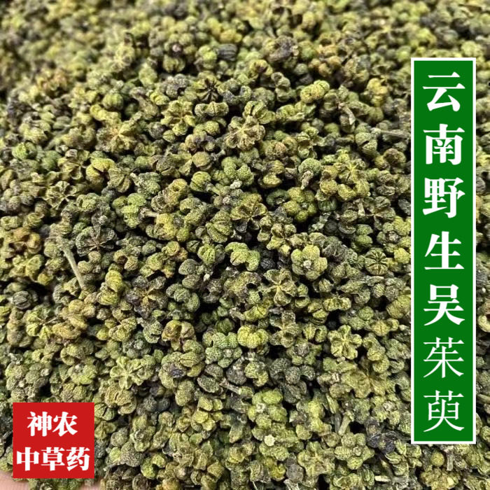 云南野生材吴茱萸500g精选特级小花吴茱萸天然无硫熏保证