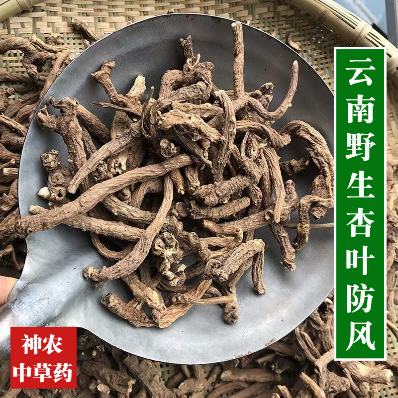 云南野生材杏叶防风500g精选特级天然无硫臭防风山当归好品质