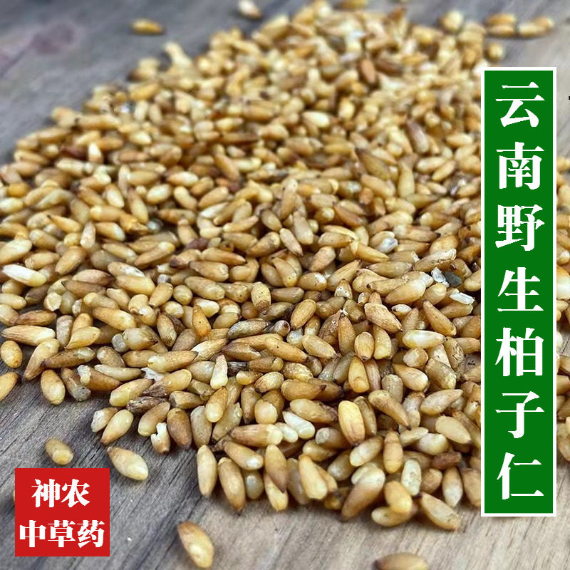 云南柏子仁500g野生材去壳柏子仁精选特级无硫天然品质保