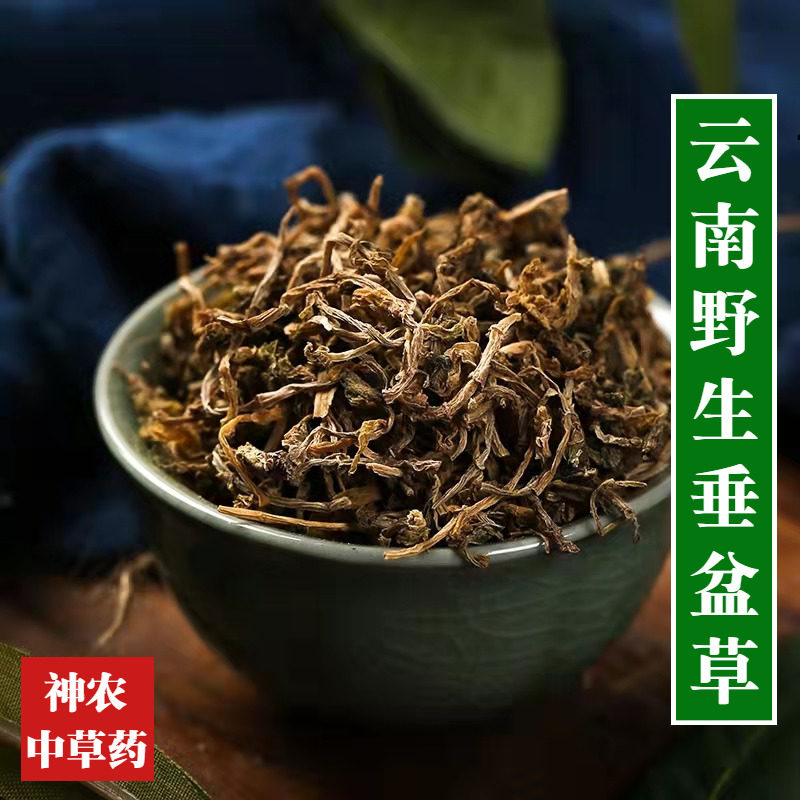 云南野生材垂盆草500g精选特级天然无硫中草药泡水喝品质保证