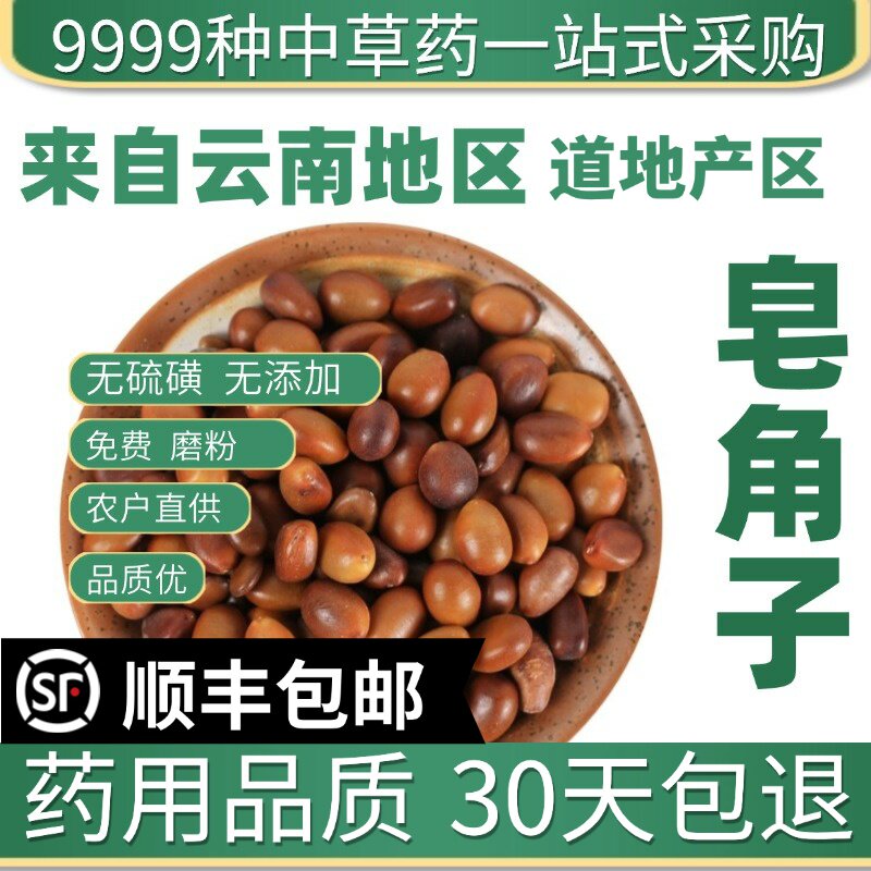 材特级野生皂角子 黑皂角籽 皂荚树种子 皂角核新货50克