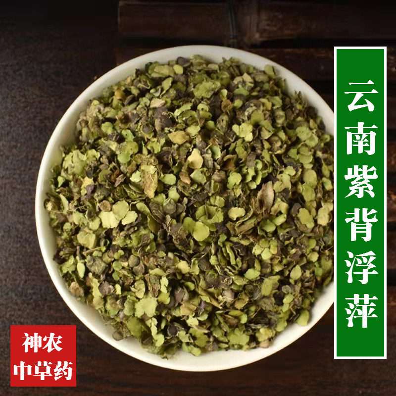 云南野生材浮萍500g浮萍草新鲜干货紫背浮萍添加高品质