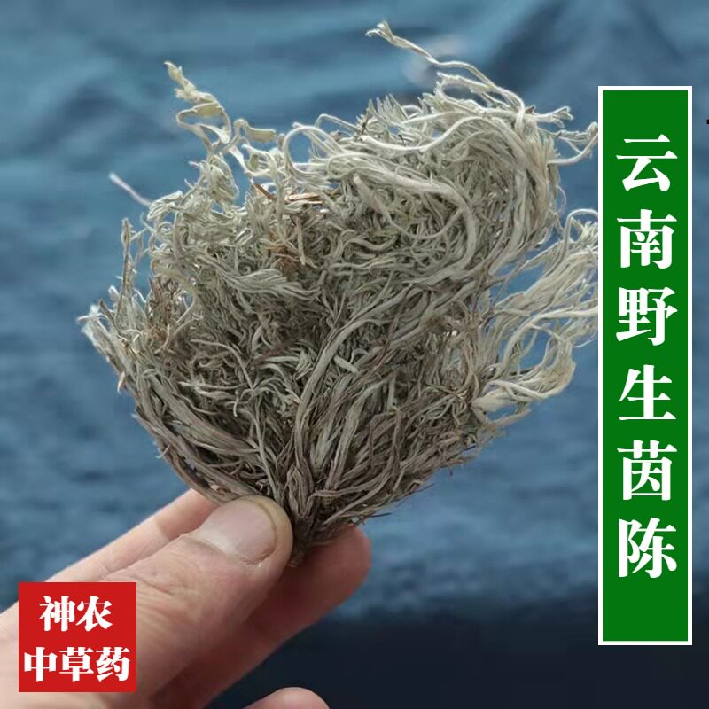 云南野生中草药三月茵陈茶500g中草药泡水泡茶陈白蒿新货晒干无硫