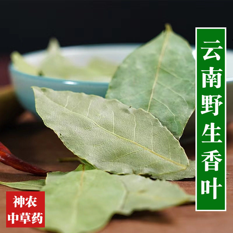 云南材香叶500g精选特级月桂叶炖肉香料樟树叶肉桂叶草药