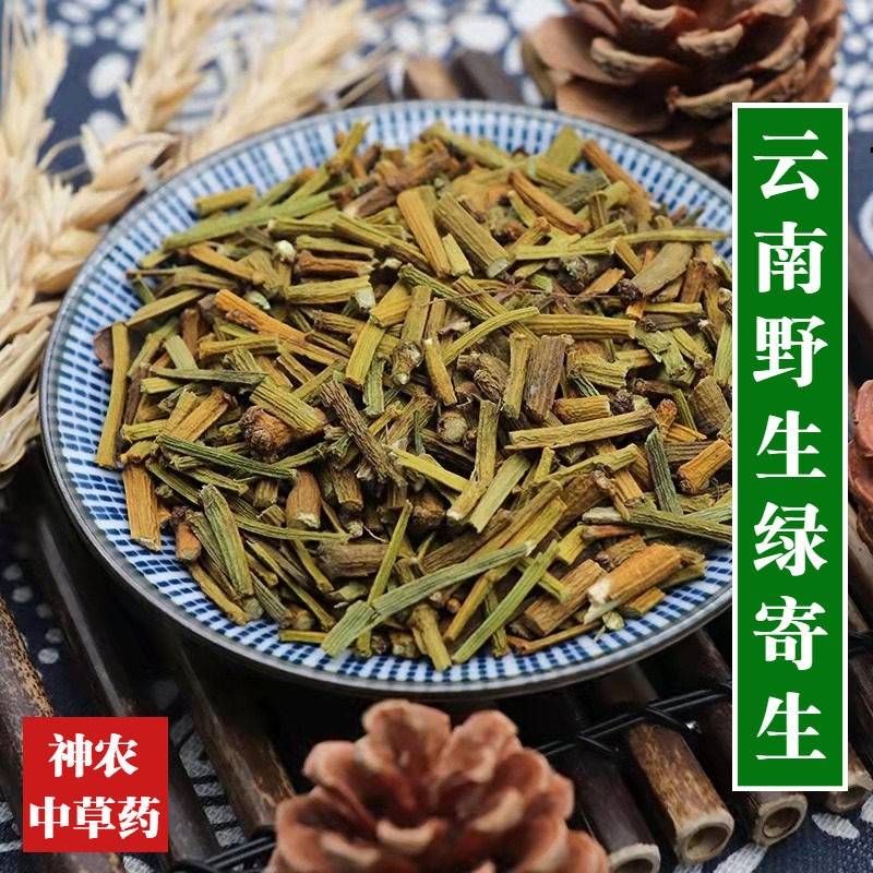 云南野生材绿寄生500g深山野绿寄生无硫熏寄生茶可和杜仲茶搭