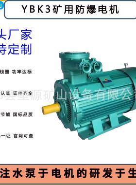 YBK3三相异步防爆电机工业级隔爆型高效节能适配油田矿井性能稳定