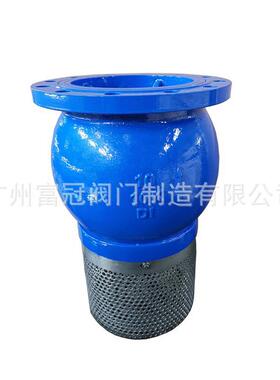H42X-10Q抽水法兰底阀抽水泵吸水底阀新款球墨铸铁法兰单向底阀