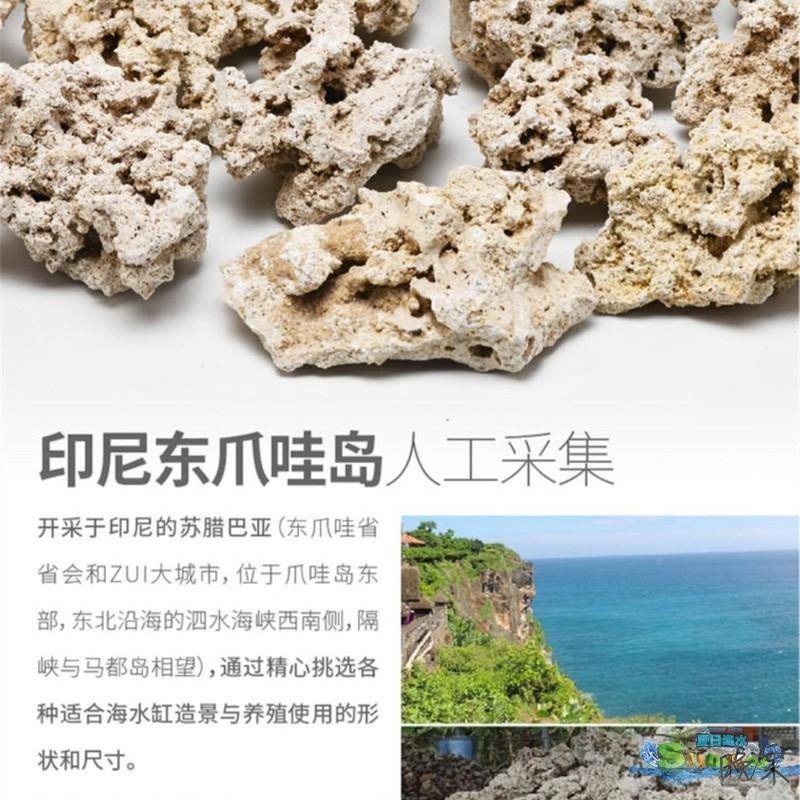 【折扣价】印爪哇石箱装海缸造景造景/装饰