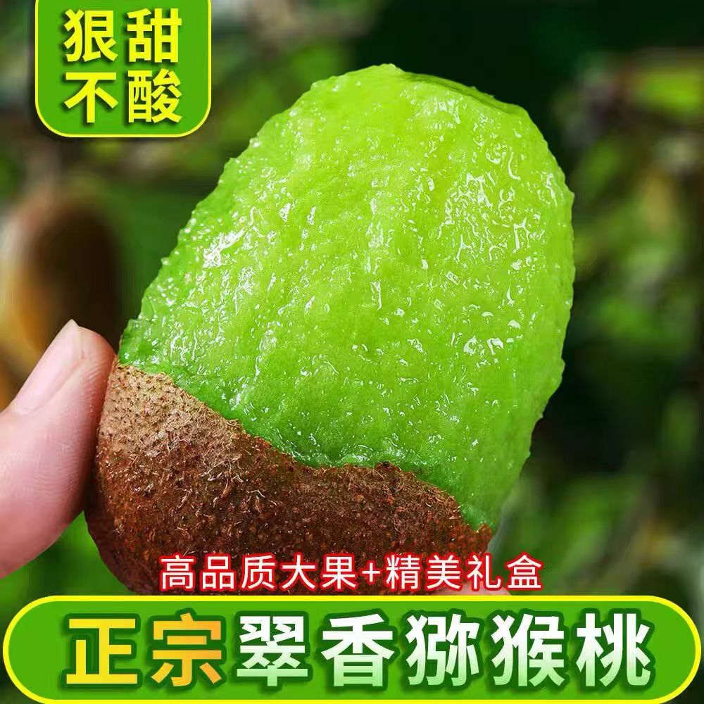陕西周至正宗翠香猕猴桃奇异果