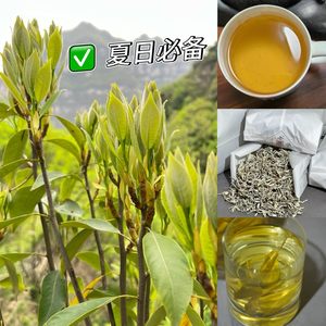 四川大渡河峡谷高山野生农家手工老鹰茶500克