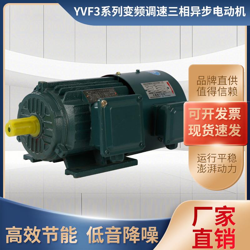 厂家国标变频调速电机三相异步电动机全铜交流大功率变频器调速