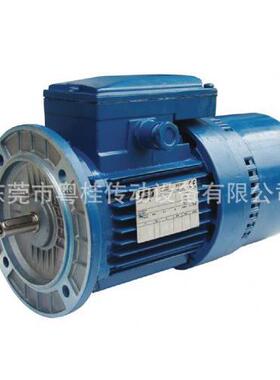 意大利SEIPEE刹车电机 SEIPEE刹车马达 意大利SEIPEE电机 JM132MC