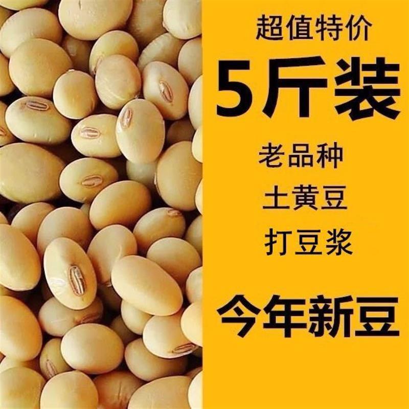 新货黄豆农家笨黄豆椭圆